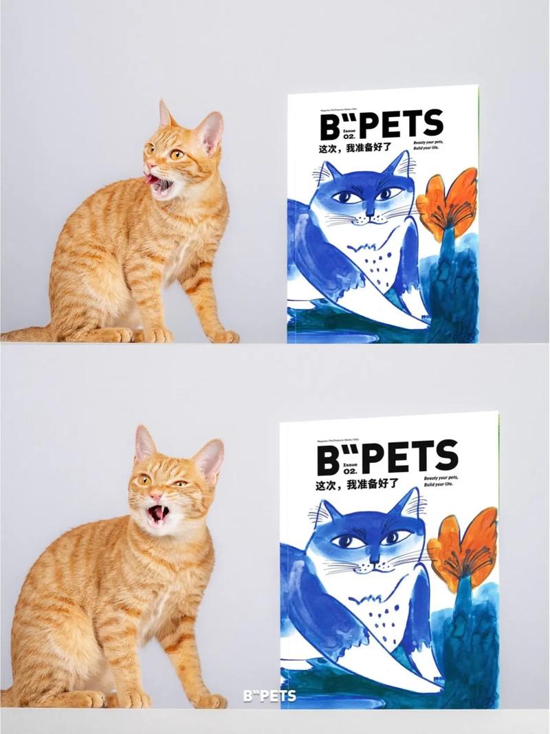 bdo buy pets with in game money,Understanding BDO’s In-Game Currency